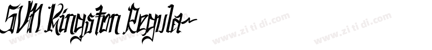 SVN Kingston Regula字体转换